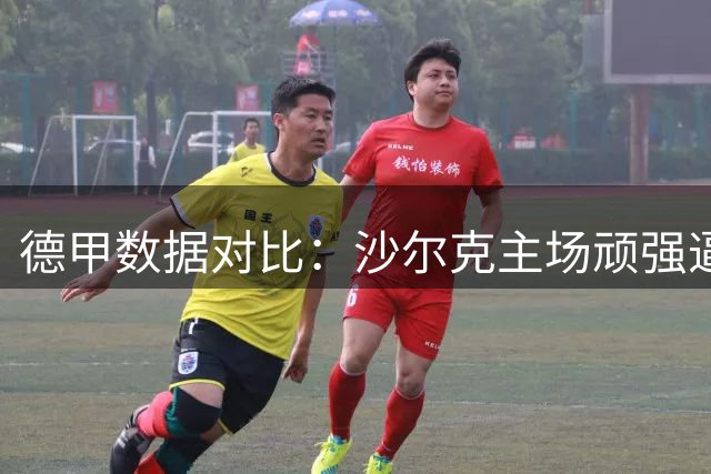 德甲数据对比：沙尔克主场顽强逼平拜仁